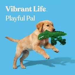 Vibrant Life Green Alligator Plush Dog Toy with Squeaker, Chew Level 3 - Thumbnail 4