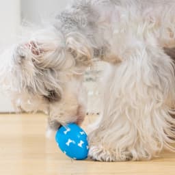 4 Pack Soft Bouncing Easter Egg Dog Toys with Squeaker, Durable Flexible Puppy Teething Chew Orbs, Indoor Outdoor Interactive Throw Fetch Balls - Thumbnail 9