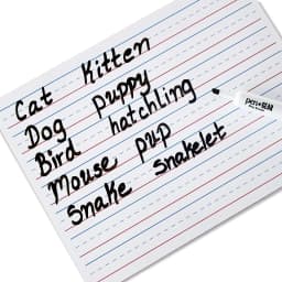 Pen+Gear Dry Erase Learning Board, 8.9" x 11.8", Whiteboard - Thumbnail 4