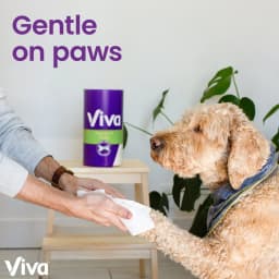 Viva Signature Cloth Paper Towels, 2 Triple Rolls - Thumbnail 9