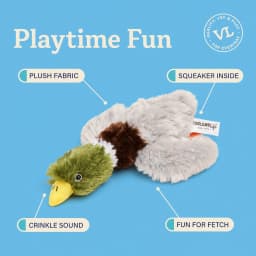 (2 pack) Vibrant Life Multicolor Floppy Mallard Duck Plush Dog Toy with Squeaker, Chew Level 2 - Thumbnail 5