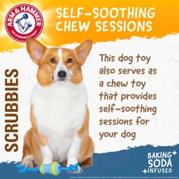 Arm & Hammer Scrubbies Throw N' Tug Adult Dental Dog Chew Toy Small - Thumbnail 4
