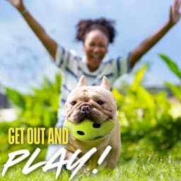 Nerf Dog TPR Bash Crinkle & Squeak Football Dog Toy, 6 inch - Thumbnail 4