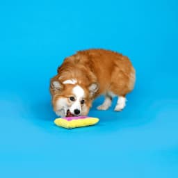 BARK Box Toaster Pup Pastry Squeaky Crinkle Plush Dog Toy - Thumbnail 4