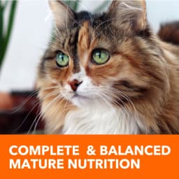 Iams Proactive Health Chicken Dry Cat Food For Senior Cats, 7 Lb Bag - Thumbnail 4