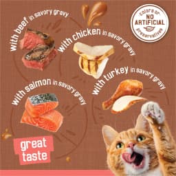 Purina Friskies Extra Gravy Beef, Chicken, Turkey, & Salmon Chunky Wet Cat Food Variety Pack, 5.5 oz Cans (24 Pack) - Thumbnail 5