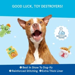 BARK Dingbert the Dragon Plush Dog Toy - Thumbnail 5