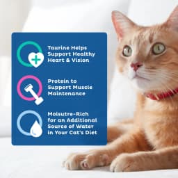 9Lives Seafood & Poultry Favorites Wet Cat Food Variety Pack, 5.5 oz. Cans (Pack of 24) - Thumbnail 4