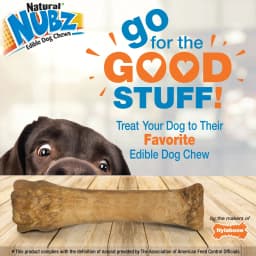 Nylabone Nubz Natural Dog Treats for Large Dogs, Beef Flavor Dog Bones, X-Large - 50+ lbs., 6.7 oz Pack, 1 Count - Thumbnail 7