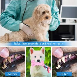 Syenll 2 Pack Dog Chew Toys, Rubber Puppy Teething Toys with Rope, Interactive Treat Set for Small Dogs Pets, Pink+Green - Thumbnail 3