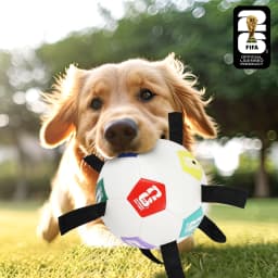 FIFA World Cup 2026 Pet Powergrip Soccer Ball Toy with Tethers for Dogs - Thumbnail 4