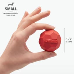 Play by Playology | Squeaky Texture Ball Small Beef 3 Pack | Beef Scented Rubber Dog Toy - Thumbnail 5