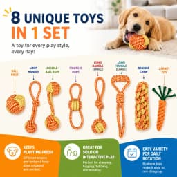 MGEZCOO Durable Dog Toys for Aggressive Chewers - Rope Chew Toys for Dogs - 8 Pack Interactive & Safe Chew Toys for Small & Large Dogs - Fun - Thumbnail 7