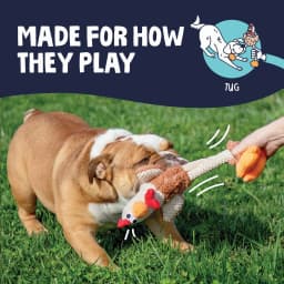 goDog Farm Friends Rooster Plush Toy for Dogs with Chew Guard Technology for Stronger & Longer Play, Soft & Durable, Built-In Squeaker, Brown, Medium - Thumbnail 5