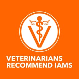 Iams Proactive Health Chicken Dry Cat Food For Kittens, 7 Lb Bag - Thumbnail 9