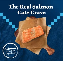 Blue Buffalo Wilderness Natural High Protein Dry Food for Adult Cats, Salmon, 4-lb Bag - Thumbnail 3