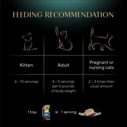 Sheba Perfect Portions Wet Cat Food Cuts in Gravy Tender Trout Entree Twin-Pack, 2.6 oz - Thumbnail 3