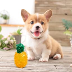 Freezable Pet Teether Chew Toy Fruit Lemon Pineapple Watermelon Design Durable Dog Chew Toys For Dogs Teething Toy For Puppies Dog Xmas Stocking - Thumbnail 2