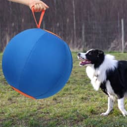 Herding Ball for Dogs, 21.65 Inch Inflatable Large Hischball for Medium and Large Breeds, Compatible with Shepherds, Cattle Dogs, Horse Game - Thumbnail 2