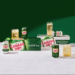 Canada Dry Ginger Ale, 12 Fl Oz, 12 Count - Thumbnail 6