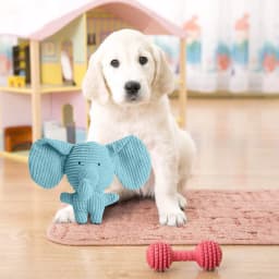 Pet Dog Chew Toys For Aggressive Chewers Tough Dog Toys For Large Dogs Indestructible Dog Toys Heavy Duty Dog Toys For Small Medium Large Dogs Breed - Thumbnail 4