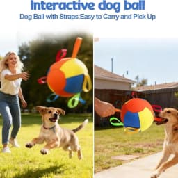 Calming Jumbo Ball for Dogs | Herding Ball with Tabs | Durable Tear-resistant Inflatable Big Balls | Heavy-Duty Herding Balls with Straps for Dog - Thumbnail 5