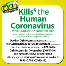Odoban Eucalyptus Scent Mold and Mildew Odor Eliminator 32 oz. Liquid - Case Of: 6 - Thumbnail 2