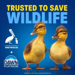 4 bottles Dawn Ultra, EZ Squeeze Dish Soap Orange, 22oz - Thumbnail 3