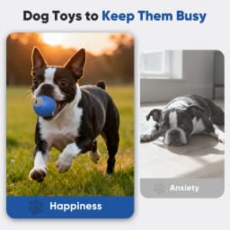 Petbobi Automatic Rechargeable Interactive Dog Ball with Active Rolling Treat Dispensing for Small Medium Dogs, 2.87" Blue - Thumbnail 7