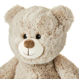 Spark Create Imagine Soft Bear Plush with Beans, 17 in, 0 Months - Thumbnail 3