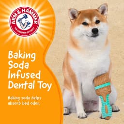 Arm & Hammer Tools 7.5" Wood Mix Paintbrush Durable Dental Dog Chew Toy - Thumbnail 5