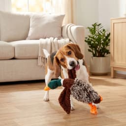 Vibrant Life Multicolor Duck Plush Dog Toy with Honking Squeaker, Chew Level 1 - Thumbnail 3