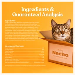 Made by Nacho Dry Cat Kibble, Infused with Bone Broth for Hydration, Cage-Free Chicken & Pumpkin Recipe, High Protein and Grain-Friendly Premium Cat Food, Limited Ingredients, 3lb Bag - Thumbnail 7