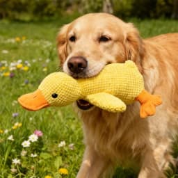 Chew-Proof Squeaky Plush Toy For Dogs & Cats,Pet Plush Chew Toy,Pet Enrichment Toys,Gifts for Pets and Pet Lovers(C) - Thumbnail 3