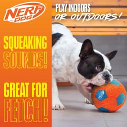 Nerf Dog X-Weave Squeak Soccer Ball for Large Dogs - Thumbnail 3
