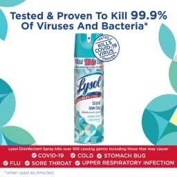 Lysol Disinfectant Spray, Brand New Day Coconut Water & Sea Minerals , 19 oz. (4 Packs) - Thumbnail 2