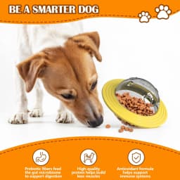 Dog Puzzle Toy for Dogs, Dog Enrichment Toys for Dog, Dog Puzzles for Smart Dogs, Treat Dispensing Dog Toys to Keep Them Busy, Interactive Dog Toys - Thumbnail 4
