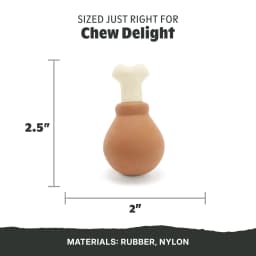 BARK Box Drumstick Chicken Scent Chew Dog Toy, Nylon Core, Medium & Large - Thumbnail 3