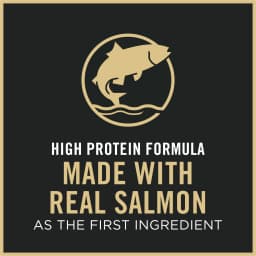 Purina Pro Plan High Protein Cat Food With Probiotics for Cats, Salmon and Rice Formula, 3.5 lb. Bag - Thumbnail 9
