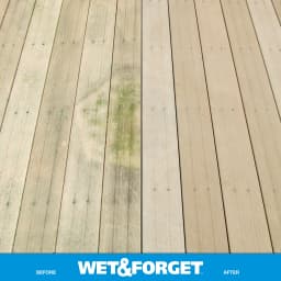 Wet & Forget Outdoor Moss, Mold, Mildew, and Algae Stain Remover Concentrate, 128 oz - Thumbnail 9