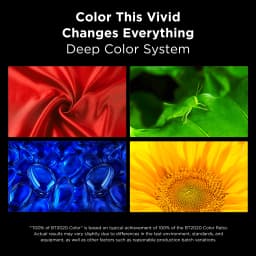 TCL 65” QM8L Series SQD-Mini LED QLED Smart Google TV (NEW 2026) - TCL Deep Color System with Super QLED - Thumbnail 5