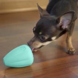 Chew King By Mammoth Premium Treat Dog Toy, Medium, Extremely Durable Natural Rubber Toy, Pack - Thumbnail 5