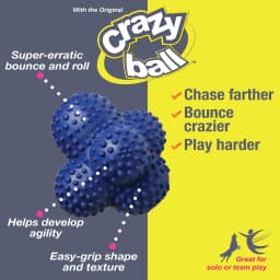 Nylabone Power Play Crazy-Ball Dog Toy, Dog Balls, Interactive Dog Toys, Large - Thumbnail 9