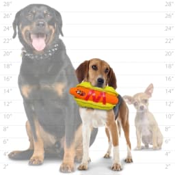 Tuffy Funny Food HotDog - Thumbnail 4