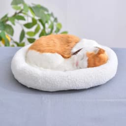 BESTSKY Cat Stuffed Animal,32*27*11cm Realistic Design Cat Stuffy,Soft Plush Breathing Function Stuffed Animal Cat,Style1 - Thumbnail 3