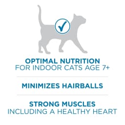 Purina ONE High Protein, Natural Senior Dry Cat Food, Indoor Advantage Senior+, 7 lb Bag - Thumbnail 5