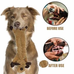 Pack of 3 Squeaky Dog Toys Indestructible for Large Dogs, Tough Soft Dog Toys Bundle for 8 Weeks Puppy and Small Dogs, Durable Dog Toys, No Stuffing - Thumbnail 3
