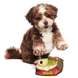BARK Singing Bass Big Squeak Plush Dog Toy, for Small and Medium Dogs - Thumbnail 6
