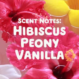 Gain Plus Flings Laundry Detergent Soap Pacs, All-In-One, Happy Hibiscus Scent, 32 Count - Thumbnail 7