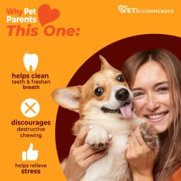 Nylabone Strong Chew Textured Ring Dog Toy, Dog Chew Toy, Made with Real Beef & Chicken Flavor, X-Large, 1 Count - Thumbnail 4